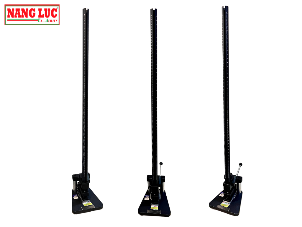 BGD 305 - Năng Lực