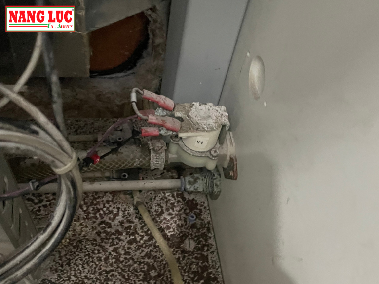 Anh Thuc Te Tu Phun Muoi 7