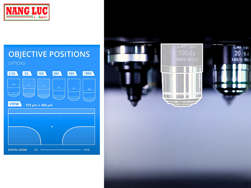 Innovatest Falcon 600G2