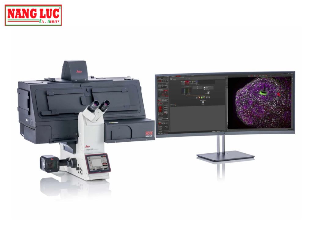 Kính Hiển Vi Quan Sát Tế Bào Sống và Thử Nghiệm 3D (Imager Live Cell & 3D Assay) Leica Model THUNDER Imager Live Cell & 3D Assay