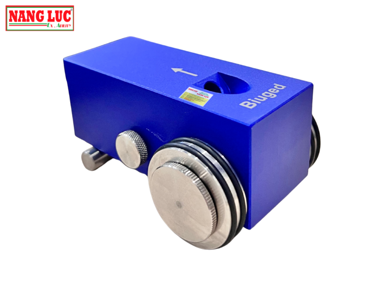 Biuged Model BGD 506 (300g customized)