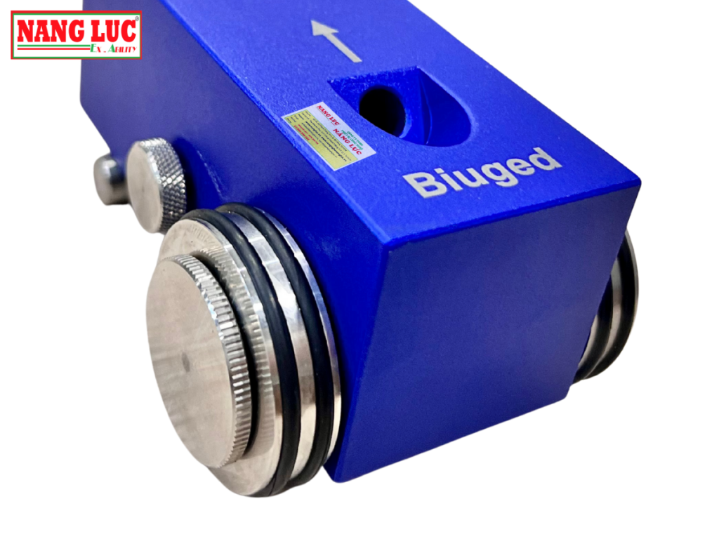 Biuged Model BGD 506 (300g customized)