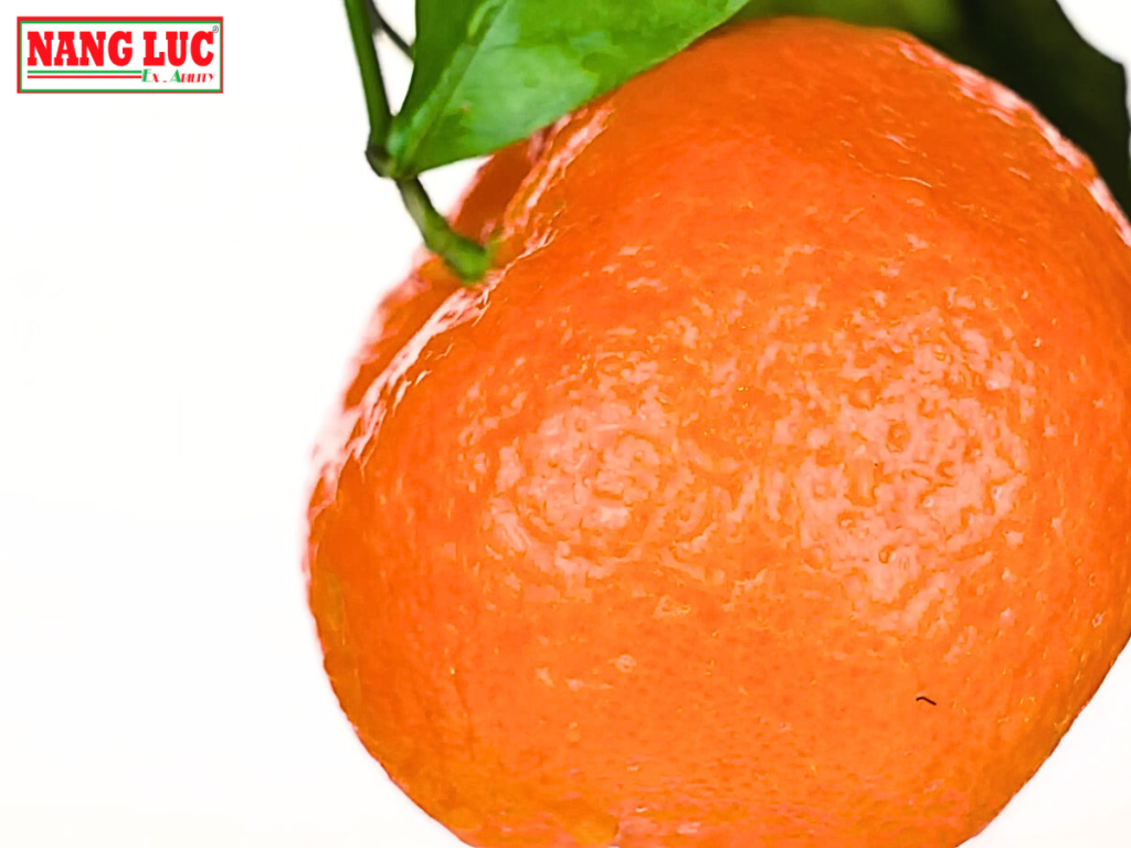 ACT TEST PANEL - Orange Peel Standards