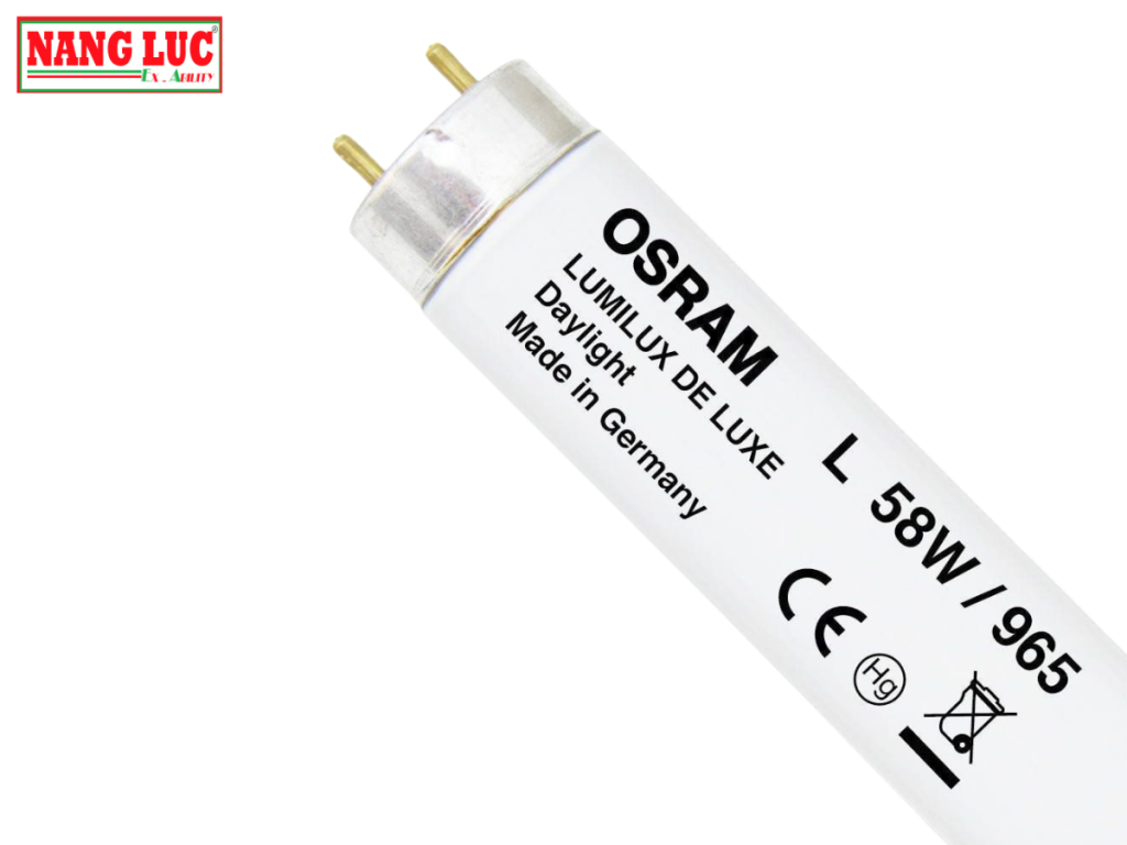 Bóng đèn D65 Osram