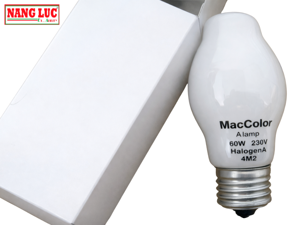 bóng đèn A maccolor 